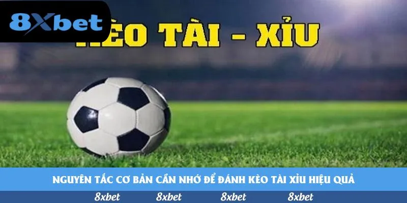 Nguyên tắc cơ bản cần nhớ để đánh kèo tài xỉu hiệu quả